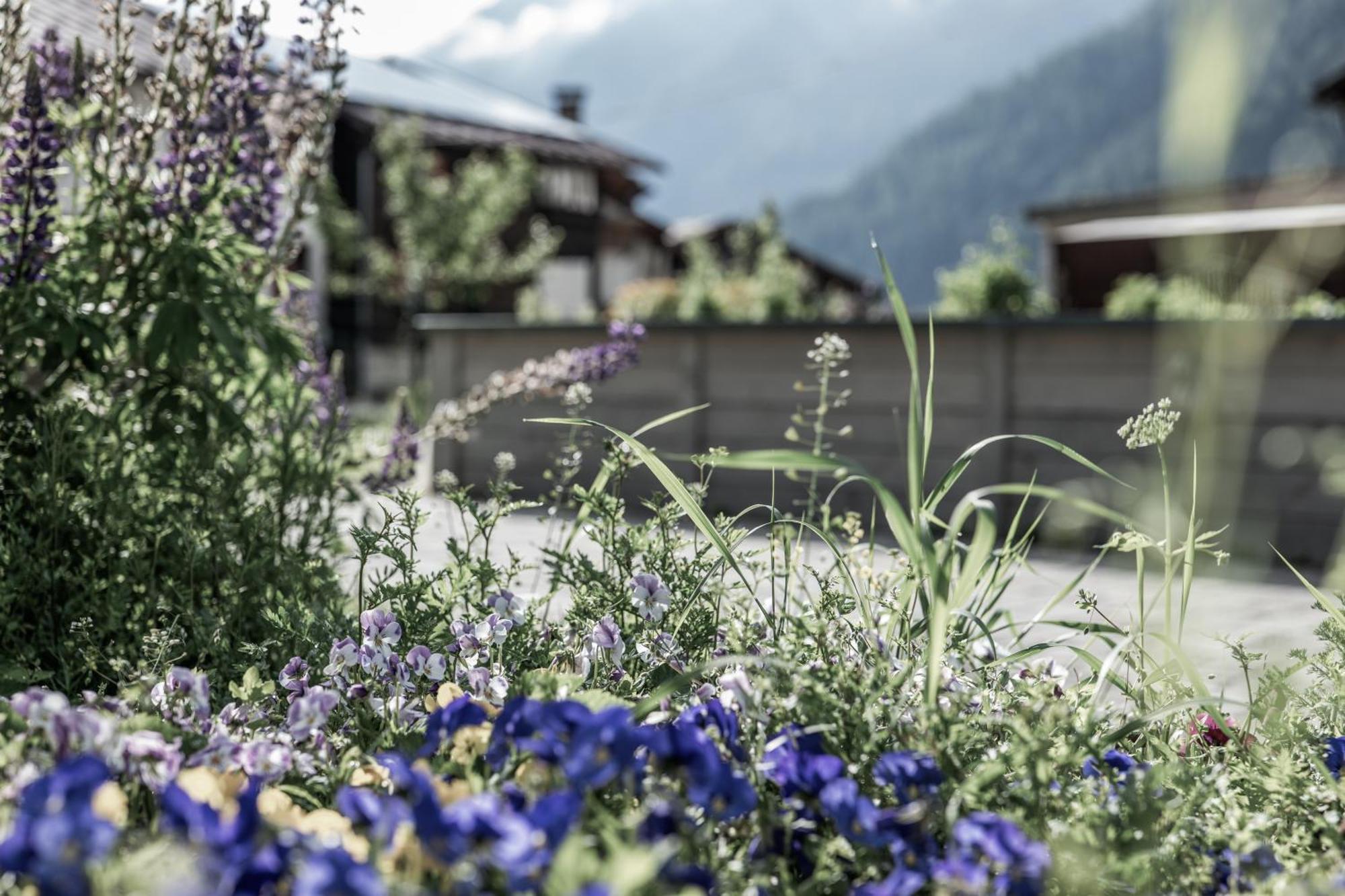 Hotel Vera Monti Holzgau